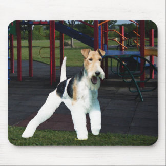 Time To Play! Mouse Pad