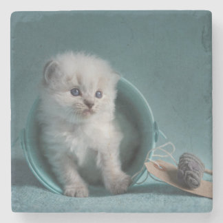 Time to play stone coaster