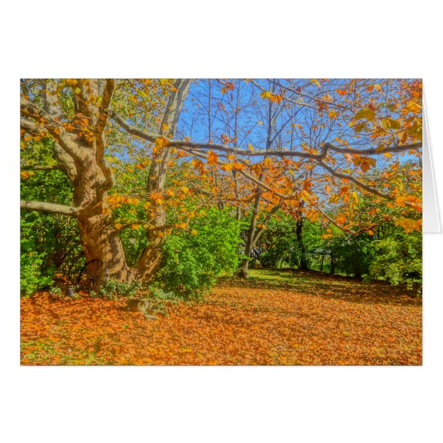 Time to Rake! (Front Horizontal)