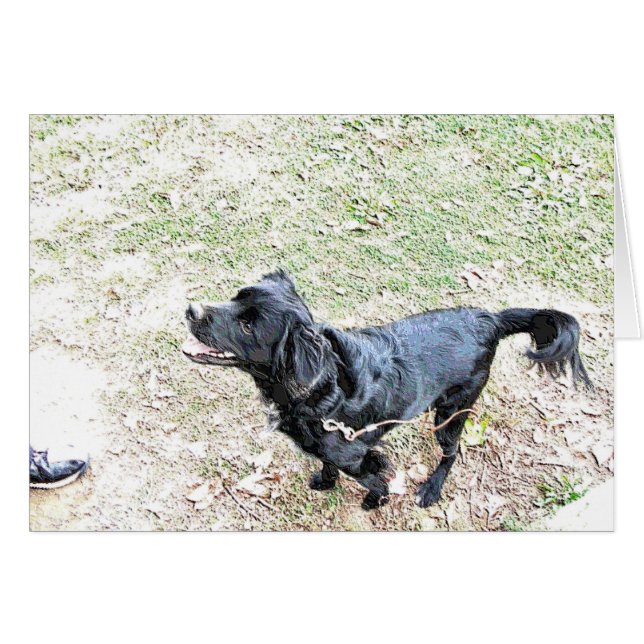 Time To Walk The Dog (Front Horizontal)