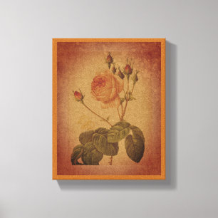 Timeless Elegance Vintage Rose Canvas Print