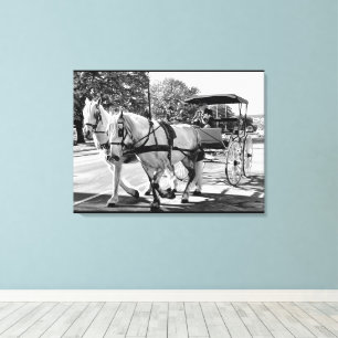 Timeless Journey Canvas Print