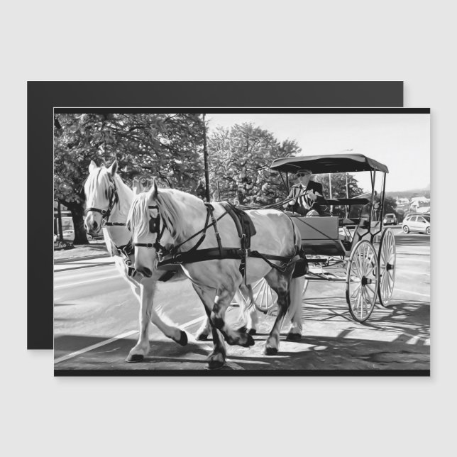 Timeless Journey Magnetic Card (Front/Back)