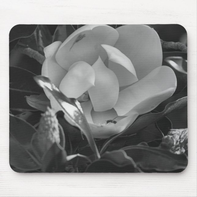 Timeless Magnolia Mouse Pad (Front)