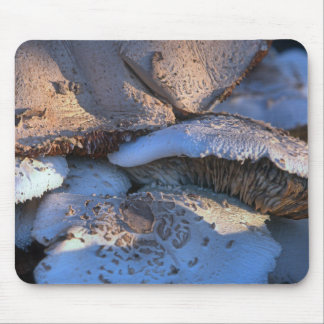 Timeless Magnolia Mouse Pad
