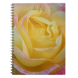 timeless rose notebook