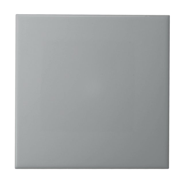 Timeless - Silver Grey Ceramic Tile (Front)