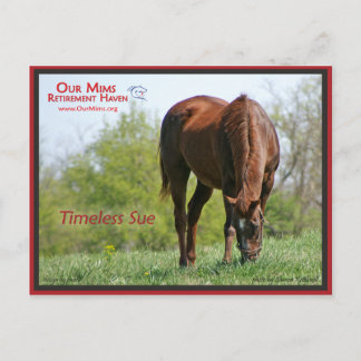 Timeless Sue Postcard