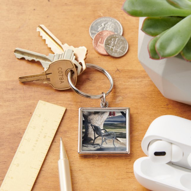 timelessimaging logo on keychain.  keychain (Desk)