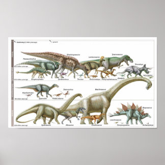 Timeline of the dinosaurs Jurassic Biology Poster