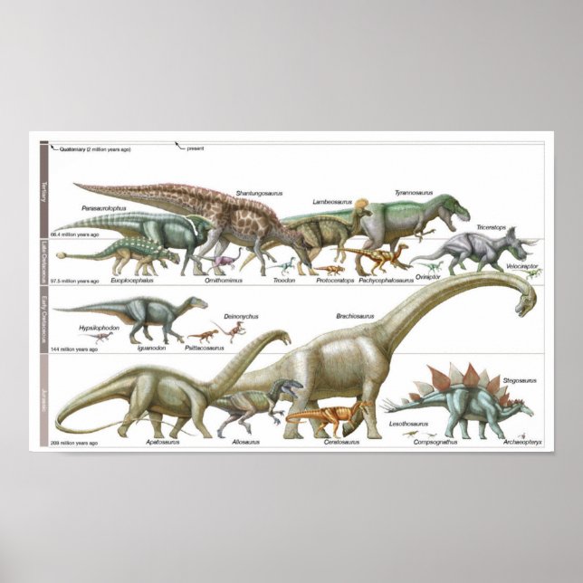 Timeline of the dinosaurs Jurassic Biology Poster (Front)
