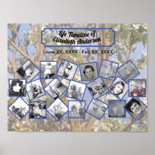 Timeline Photo Collage on White Blossom Tree Poster