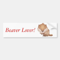 Timid Beaver