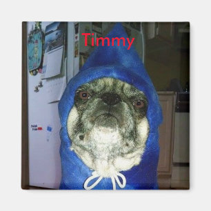 Timmy Hoodie Magnet