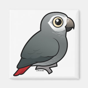 Timneh African Grey Parrot Magnet