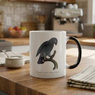 Timneh African Grey Parrot, Psittacus Timneh Magic Mug