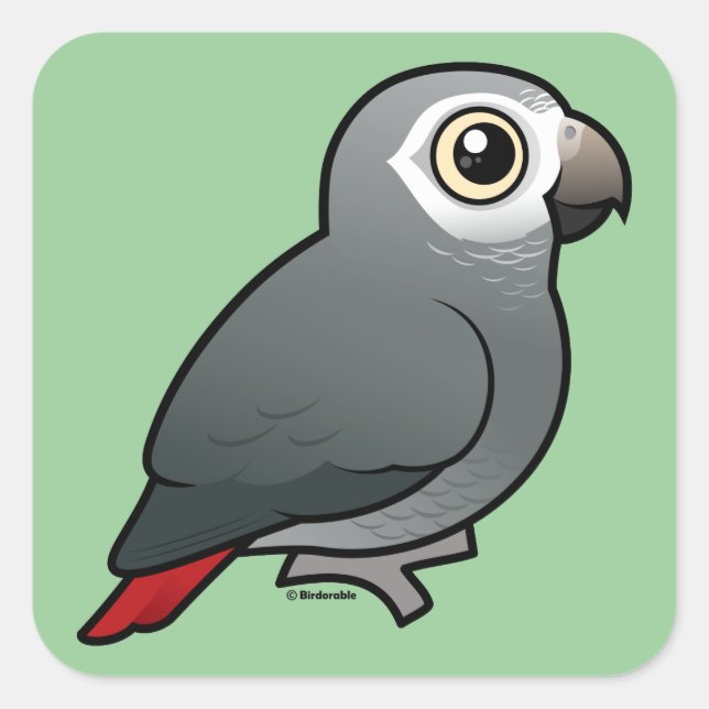 Timneh African Grey Parrot Square Sticker (Front)