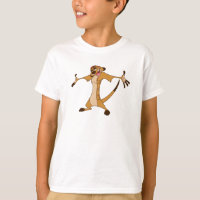 Timon Disney