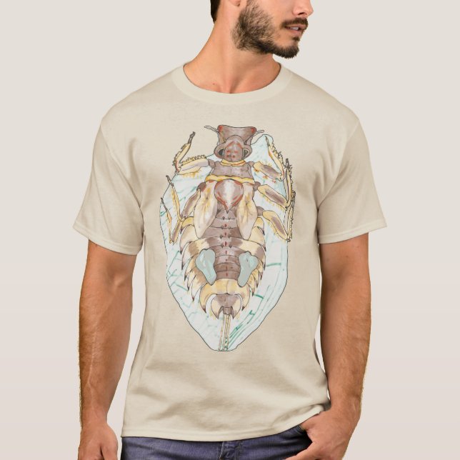 Timpanoga mayfly with adult wing background T-Shirt (Front)