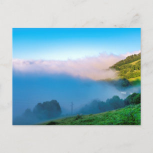 Tineo Postcard