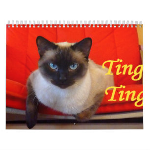 Ting Ting the Siamese Cat Calendar