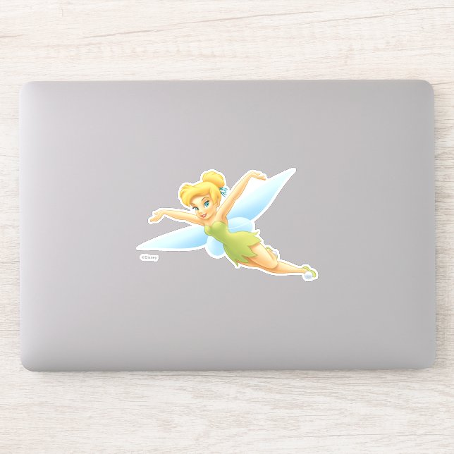 Tinker Bell  Pose 12 (Computer)
