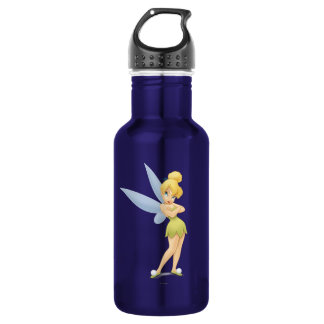 Tinker Bell Pose 3 532 Ml Water Bottle