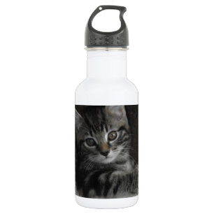 Tinker Kitten 532 Ml Water Bottle