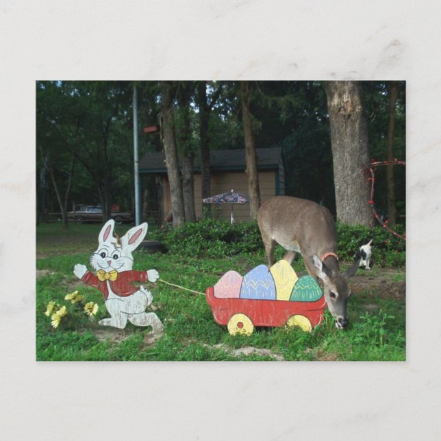 TINKERBELL  #6 POSTCARD HELPING THE EASTER BUNNY (Front)