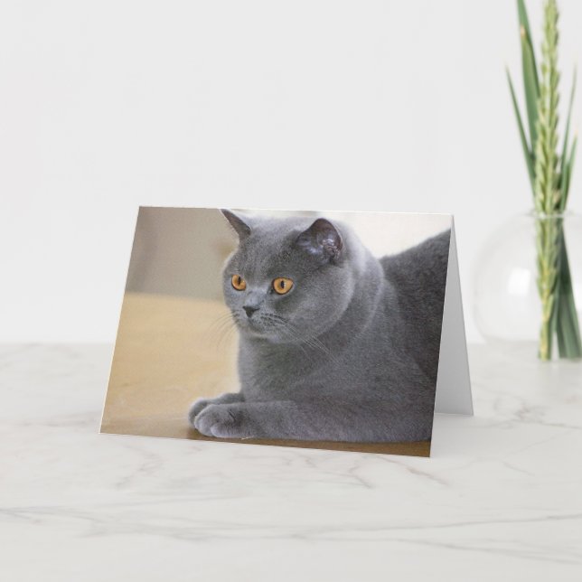 Tinkerbelle Card (Front)