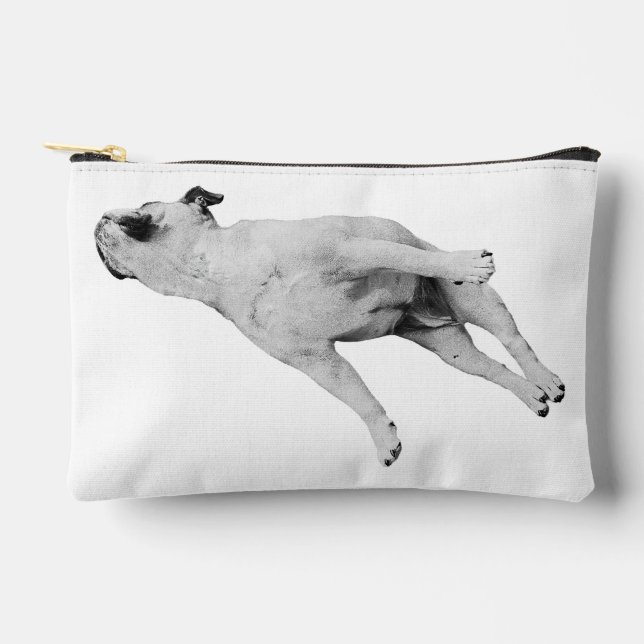 Tinsel-Quiet Organizer Accessory Pouch (Front)