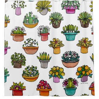 Tint Plants In Pots