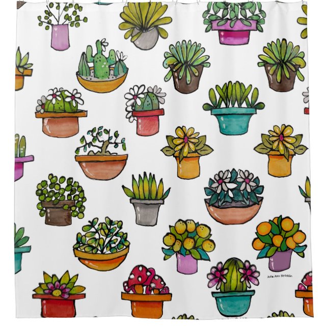 Tint Plants In Pots (Front)