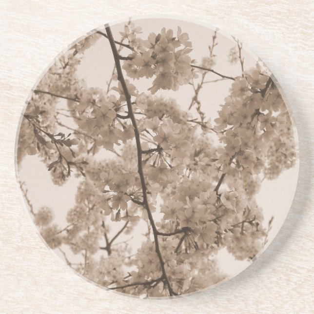 Tinted 'Cherry Blossoms' Coaster (Front)