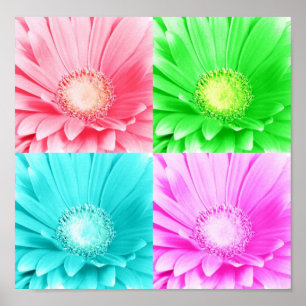 Tinted Gerbera Daisy Canvas Poster