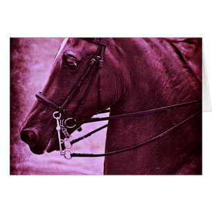 Tinted Saddlebred