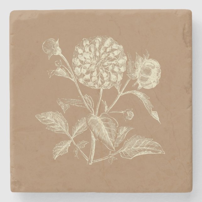 Tinted Vintage Zinnia Illustration Brown  Stone Coaster (Front)