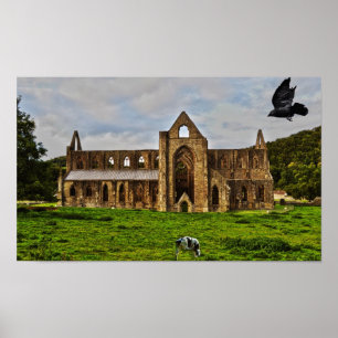Tintern Abbey Cistercian Monastery Pastoral Scene Poster