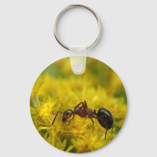 Tiny Ant on Goldenrod Keychain