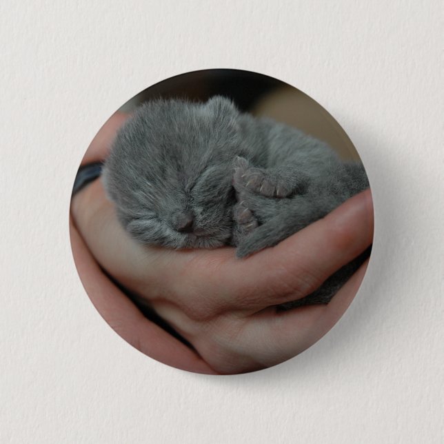 Tiny Baby Blue Kitten 2 Inch Round Button (Front)