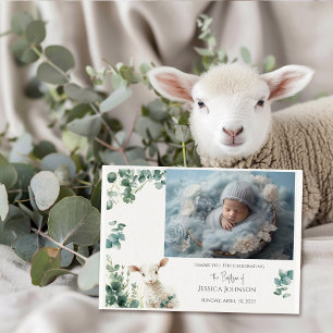 Tiny Baby Lamb and Eucalyptus baptism  Thank You Card