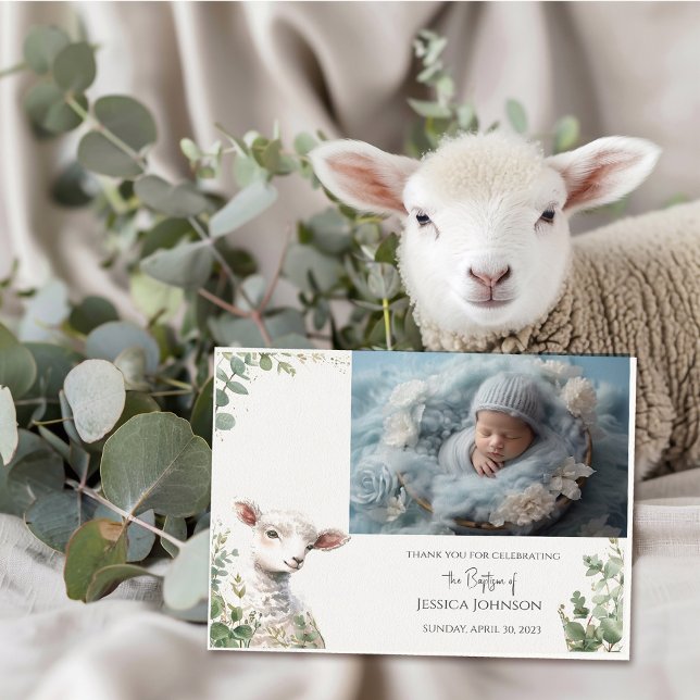 Tiny Baby Lamb and Eucalyptus baptism Thank You Card (Creator Uploaded)