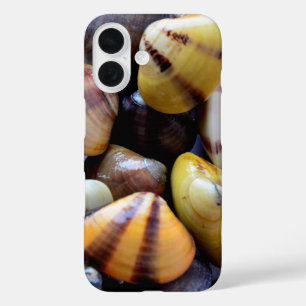 Tiny Colourful Clam Shells iPhone 16 Case