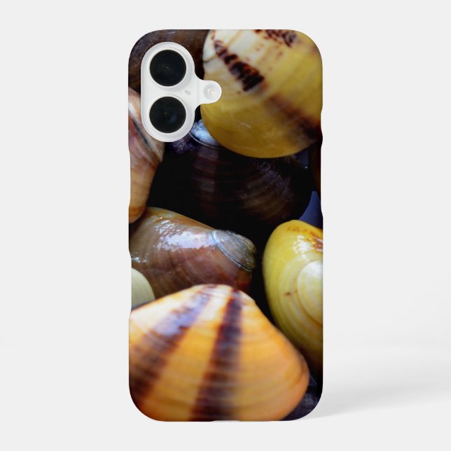 Tiny Colourful Clam Shells iPhone 16 Case (Back)