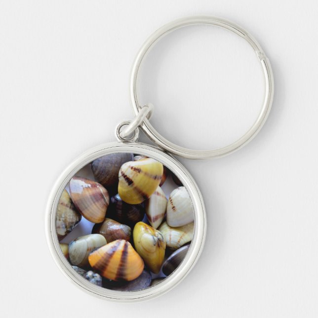 Tiny Colourful Clam Shells Keychain (Front)