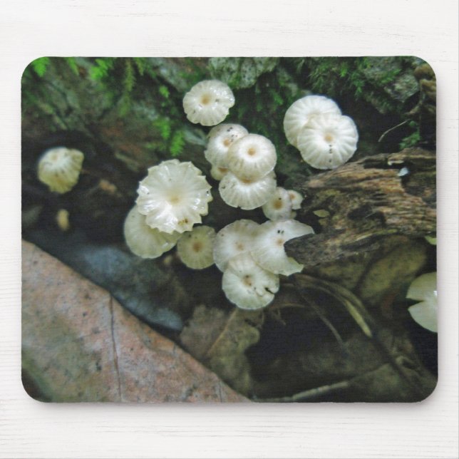 Tiny Crimped Mushroom Colony Mousepad (Front)