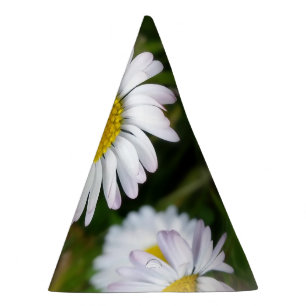 Tiny daisies party hat