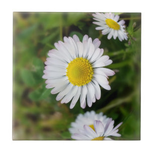 Tiny daisies tile