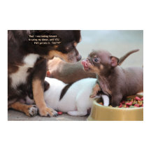 Tiny Dog Family at Dinner