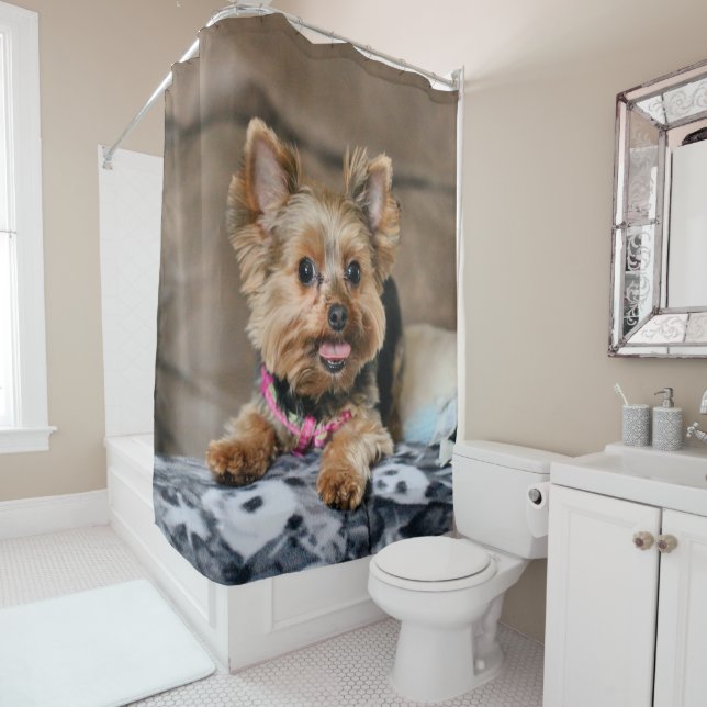 Tiny dynamo (In Situ)